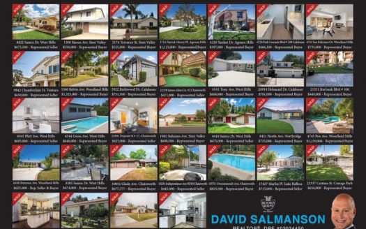 Calabasas Realtor David Salmanson home sales
