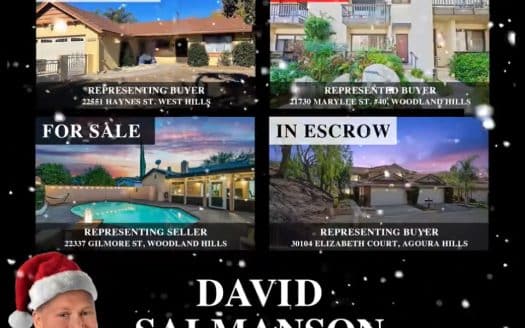 David Salmanson realtor real estate sales in December 2022